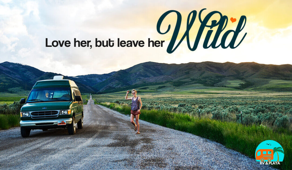 50+ Camper Sayings: RV Inspiring Funny and Motivational Quotes